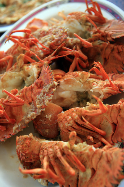 台湾湾龙虾图片下载