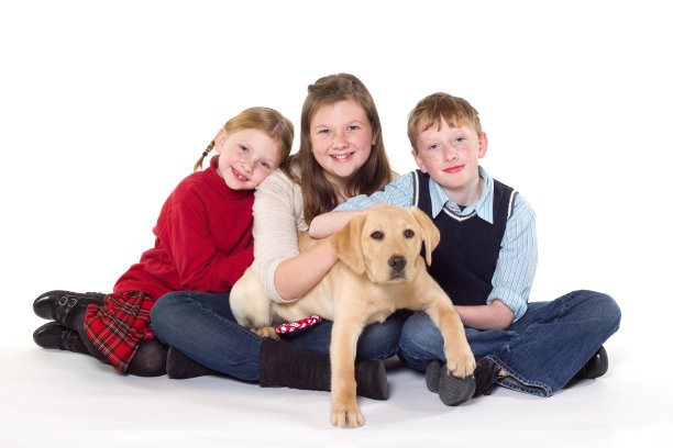 小狗的兄弟姐妹图片下载