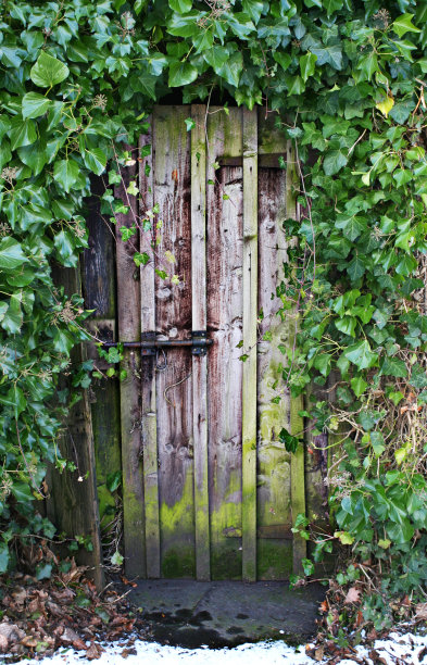 秘密花园图片下载