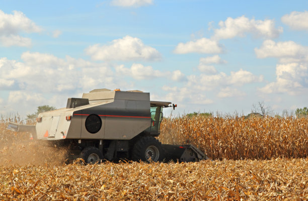 灰色的结合图片下载