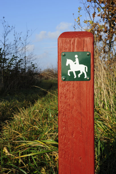 马的路径图片下载