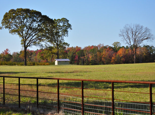 牧场的清晨图片下载