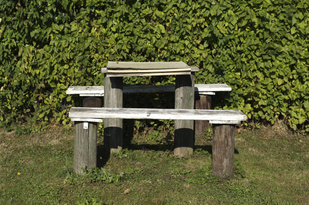 阳光明媚的地方图片下载