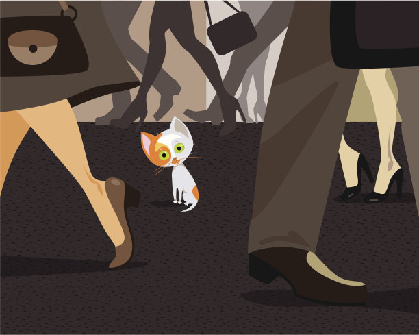 无家可归的猫图片下载