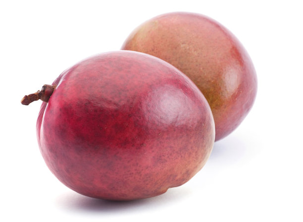 芒果果实图片下载