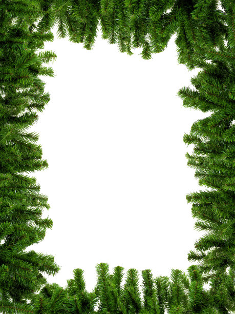 杉木圣诞相框图片下载