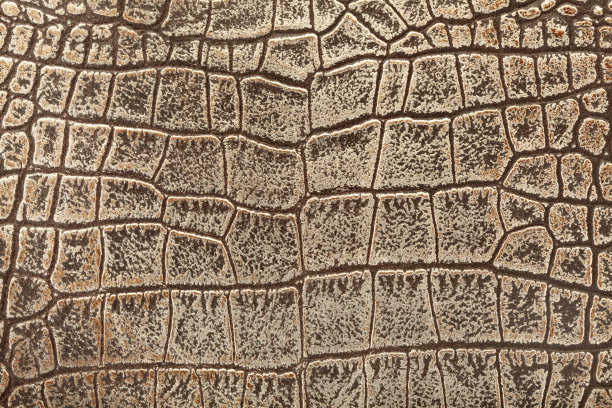 鳄鱼皮革的背景图片下载