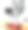 小斑马和冲浪。图片下载
