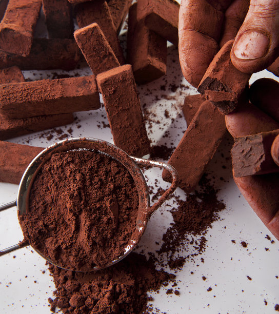 巧克力松露图片下载