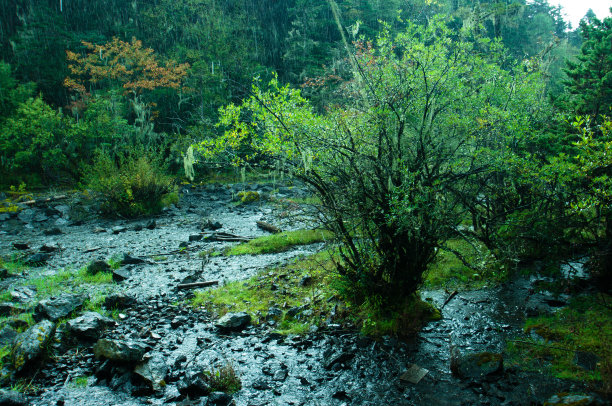 比塔湖图片下载