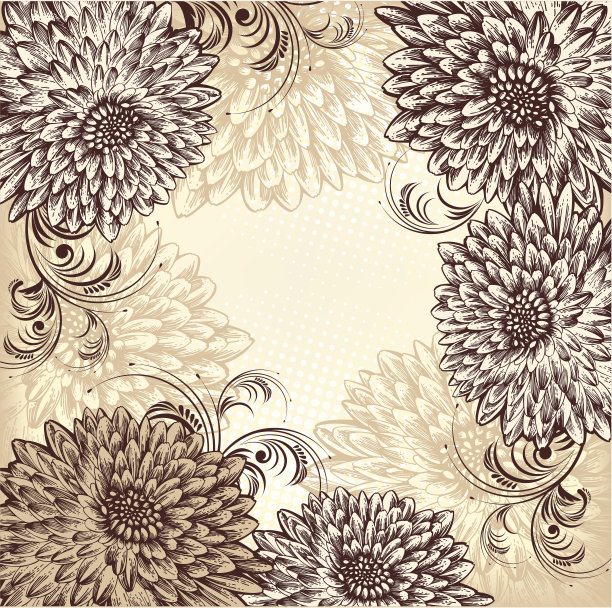 花卉背景与盛开的菊花，手绘。向量。素材图片