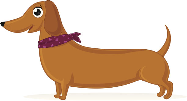 达克斯猎犬图片下载