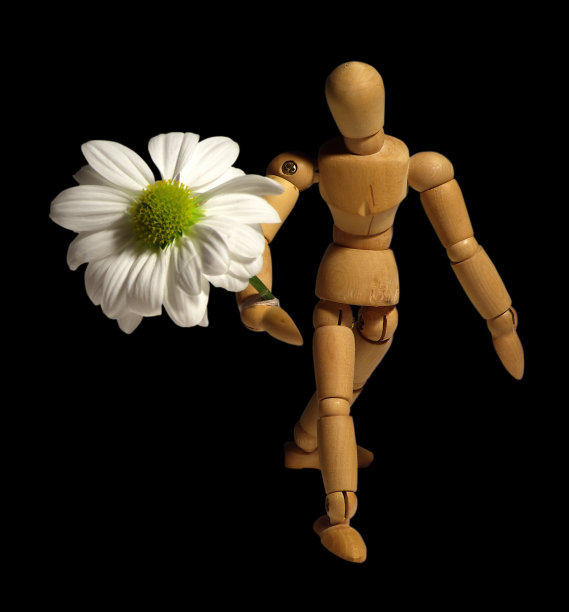 木娃娃图片下载