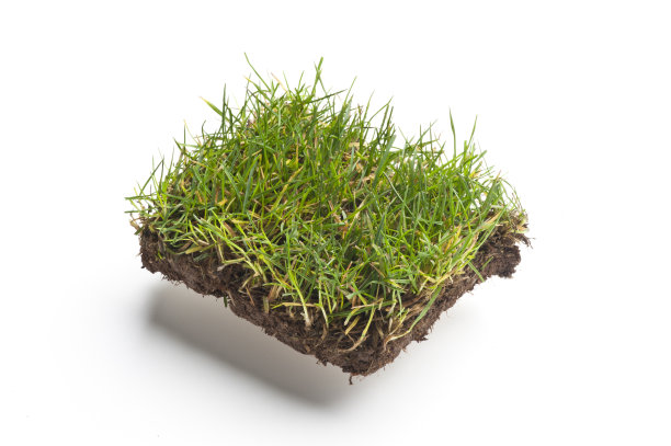 草地毯图片下载