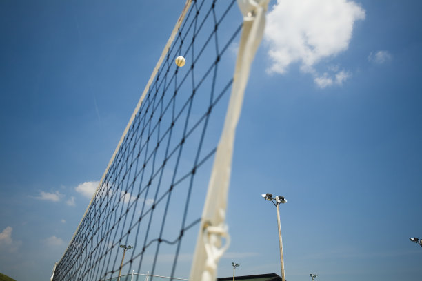 排球和净图片下载