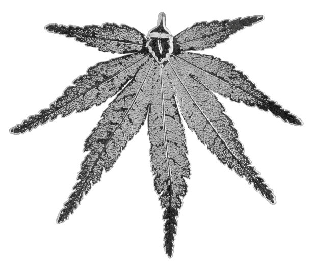 日本的枫叶图片下载