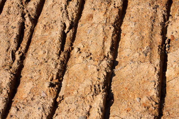 乾泥中的拖拉机胎印特写图片下载