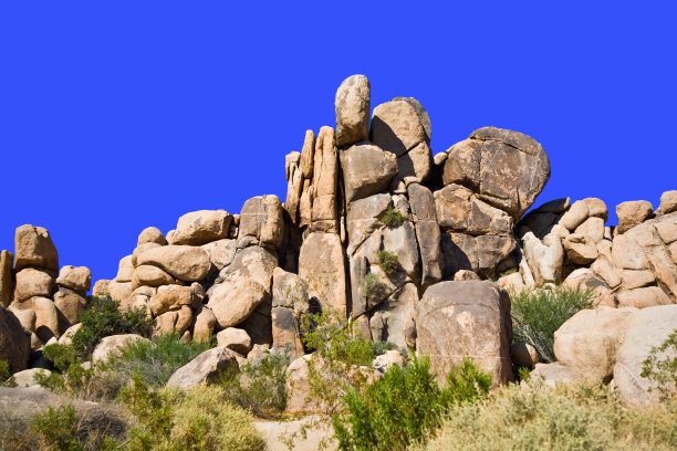 约书亚树国家公园的自然图片下载