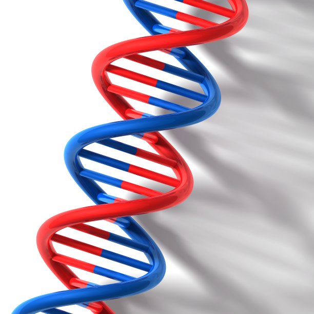 脱氧核糖核酸模型图片下载