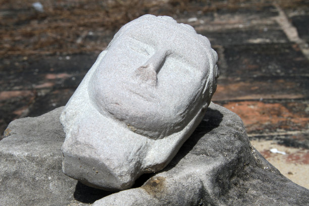 石头的头图片下载