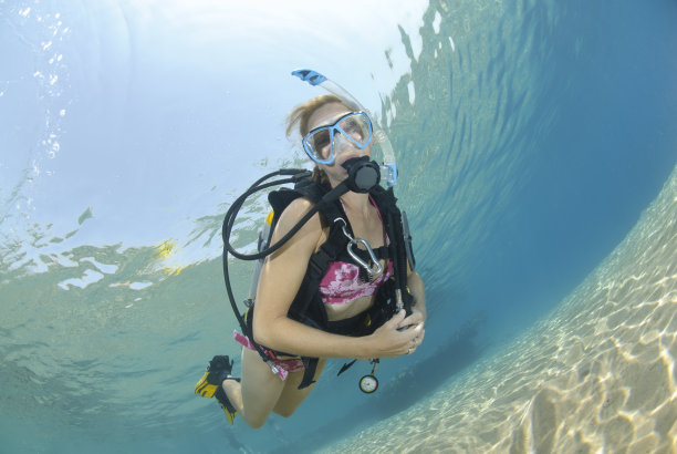 成年女性潜水穿着比基尼图片下载