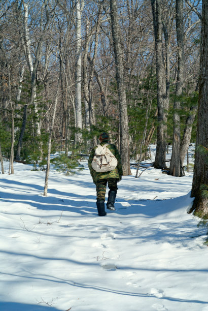 冬天森林里的人图片下载
