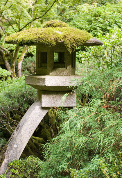 花园苔藓禅图片下载