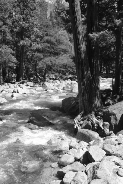 加州约塞米蒂国家公园图片下载