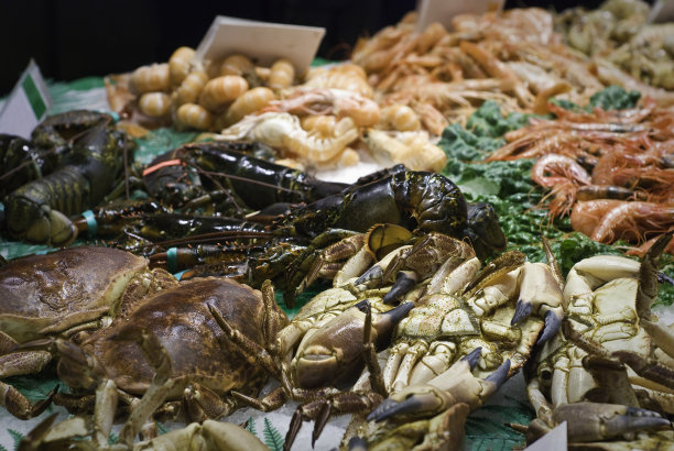 新鲜海鲜摆盘，辅以绿色装饰图片下载