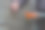 慕拉诺岛的玻璃制品图片下载