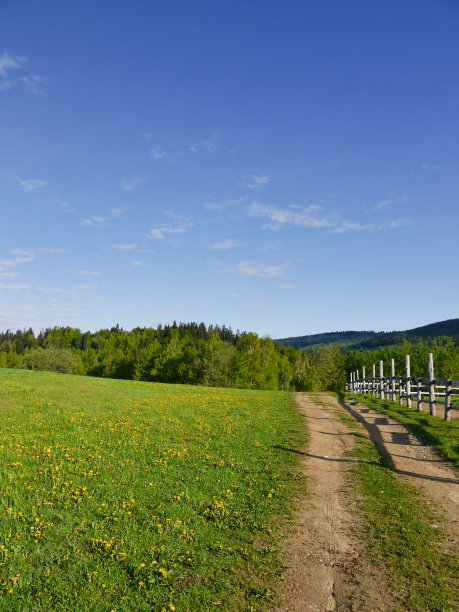 新的春天草图片下载