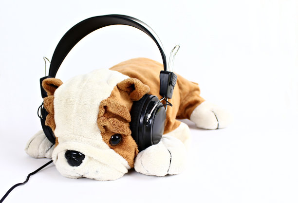 狗狗音乐图片下载