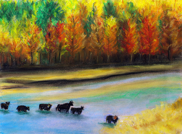 彩色粉笔画-公牛渡过一条河素材图片