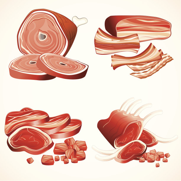 一套肉类类型的插图图片下载