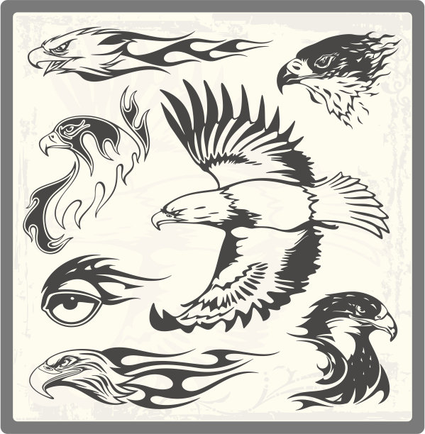 火焰鹰矢量插图集图片下载