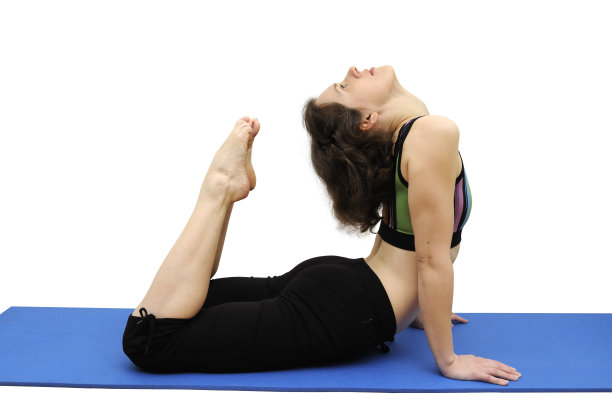 蝎子的姿势图片下载