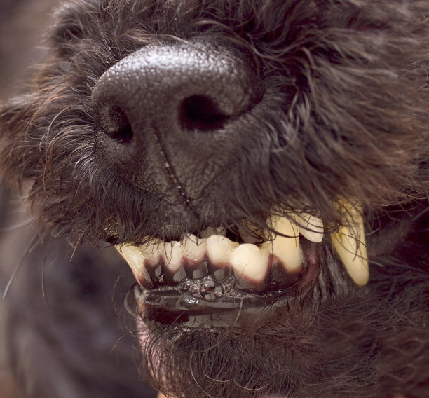 牙科灾难图片下载