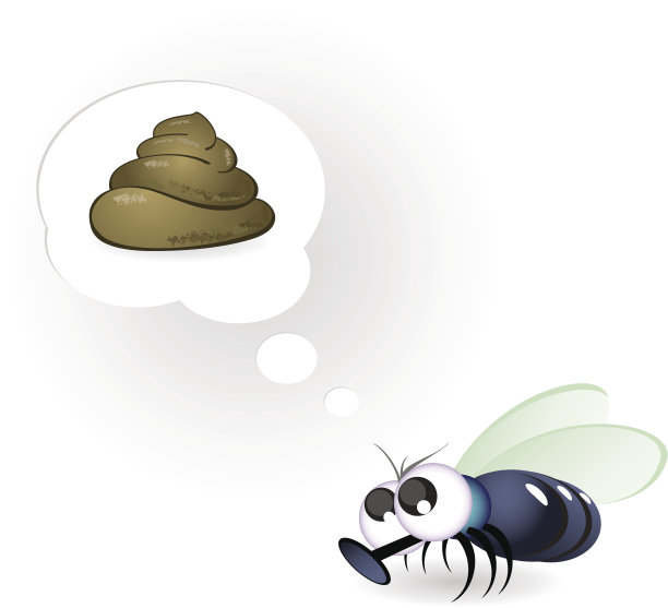 飞和粪图片下载