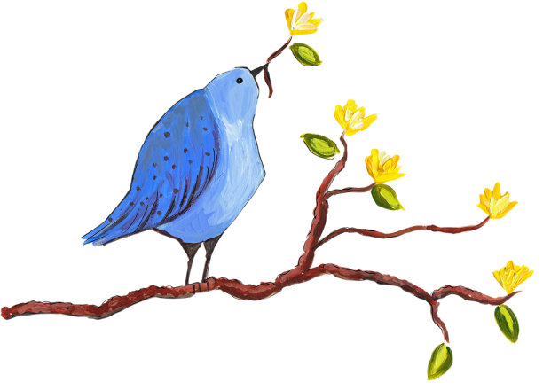蓝色的鸟图片下载