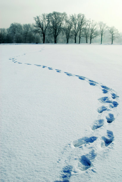 冬天的风景图片下载