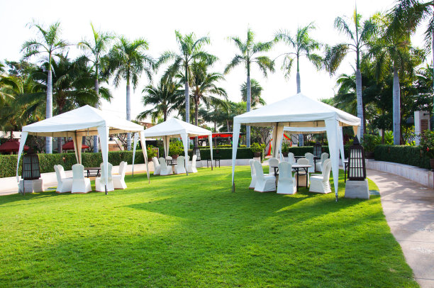 事件大帐篷图片下载