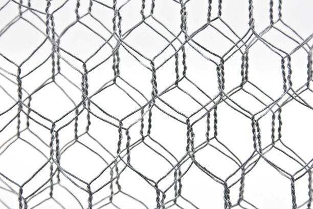 线结构2图片下载