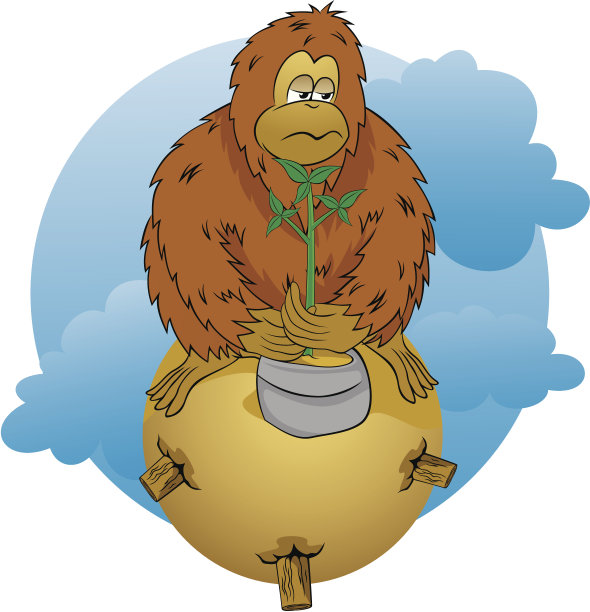 可爱的猴子图片下载