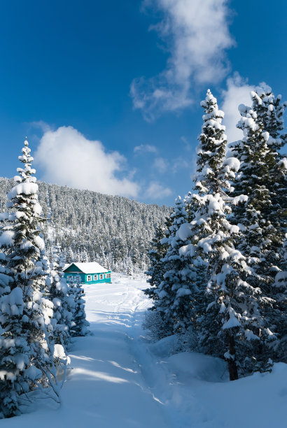 冬季景观与木屋图片下载
