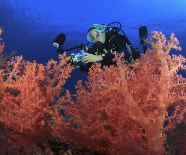 水下摄影师图片下载