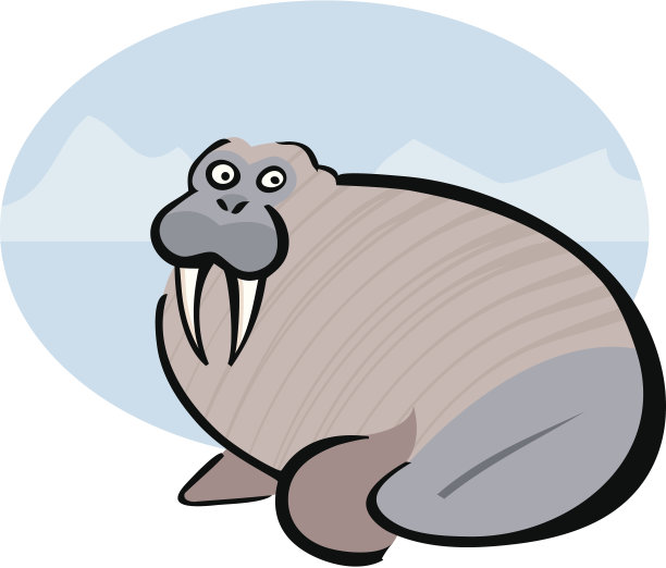 脂肪海象图片下载