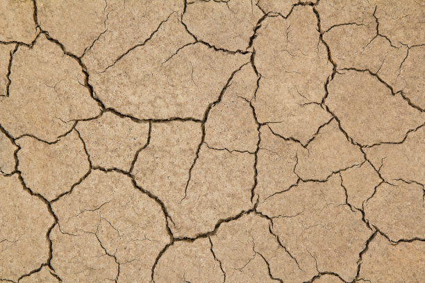 干旱的土地图片下载