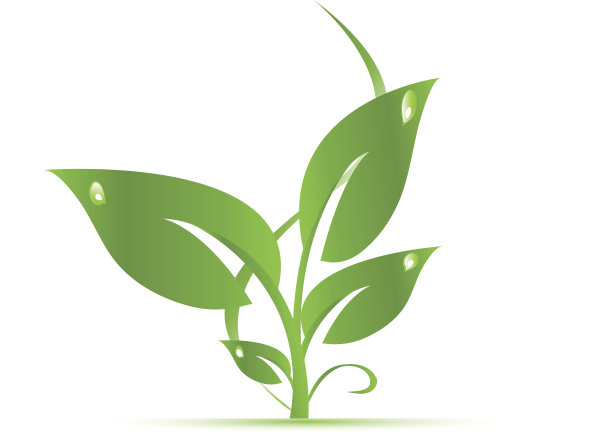 绿色的树叶图片下载