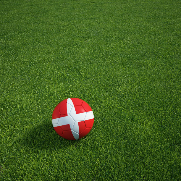 丹麦足球躺在草地上图片下载