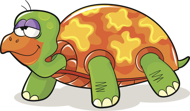 有趣的海龟图片下载